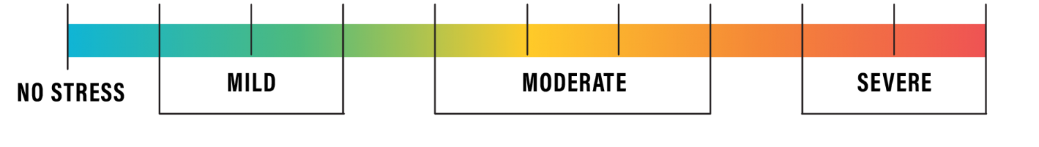 stress table footer